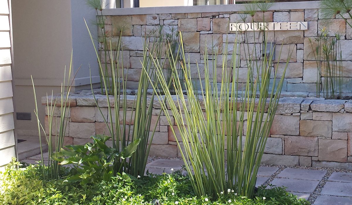 GARDEN-HENECK-2