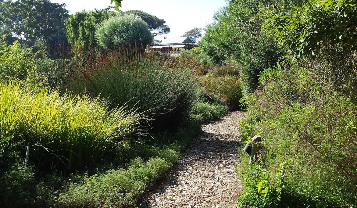 High-Constantia-Estate-1-(2)