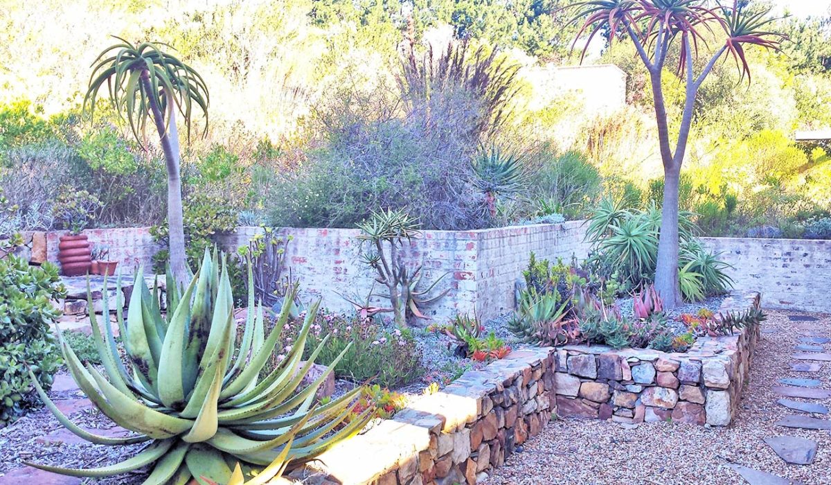 bowsher-garden