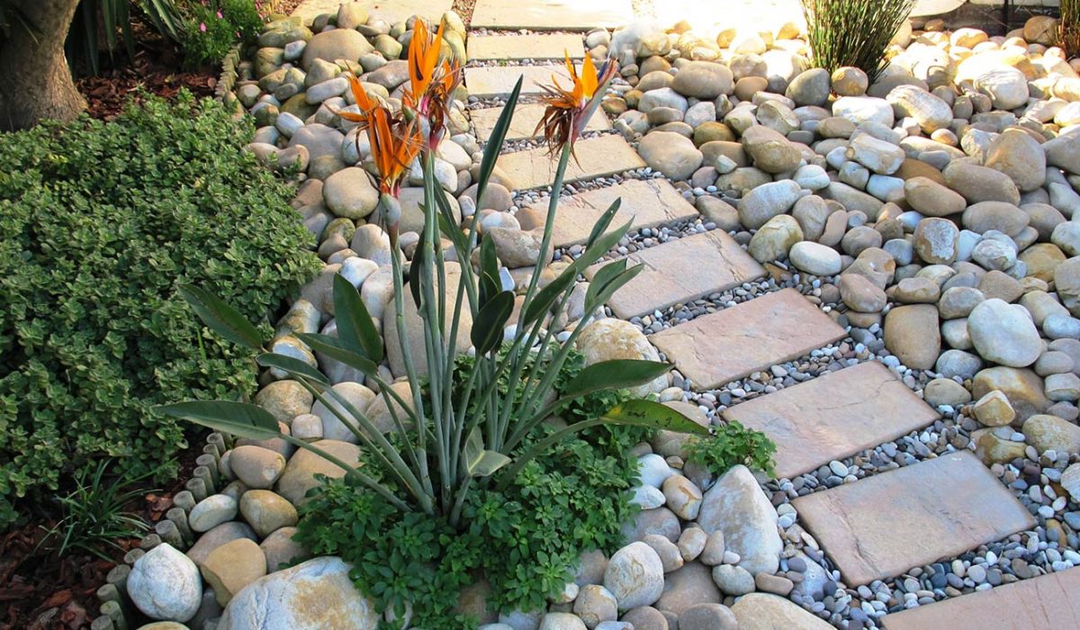 GARDEN-LURIE-MILNERTON-3