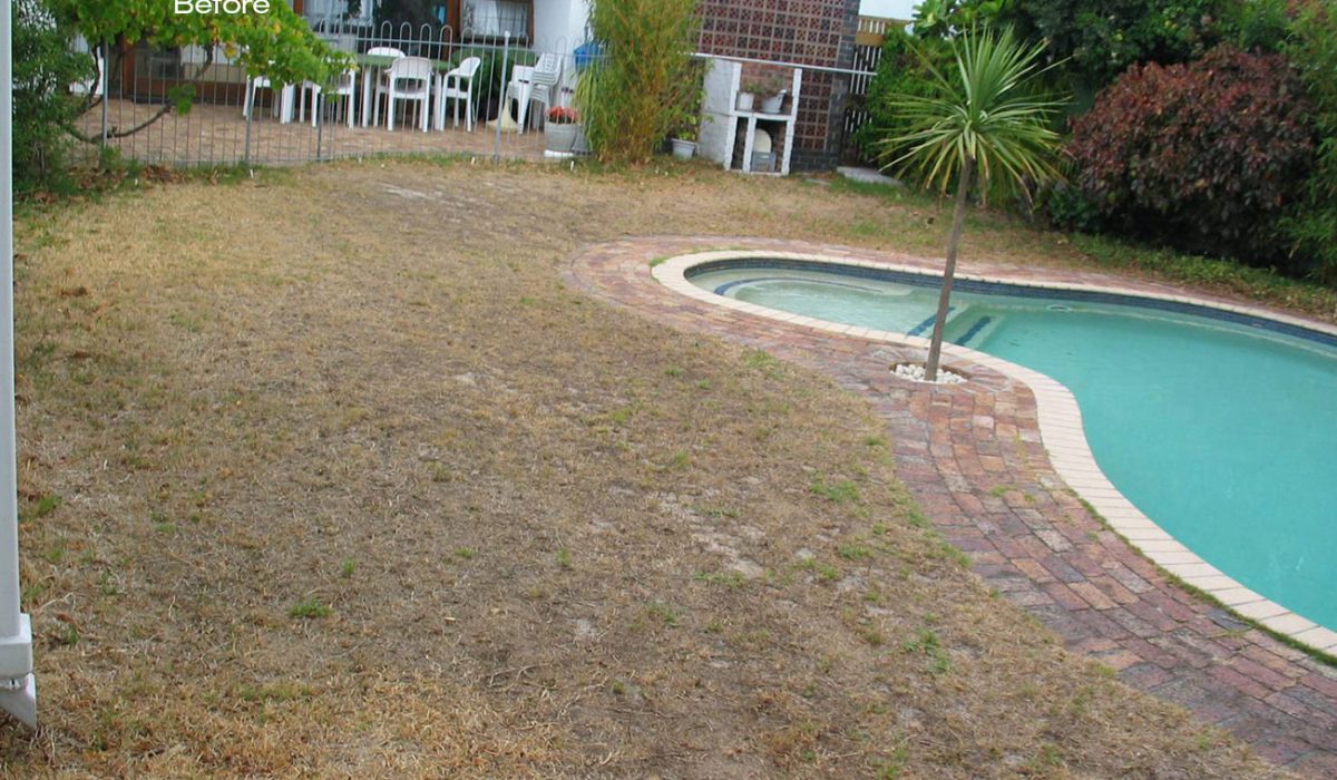 Lurie-pool-before.jpg